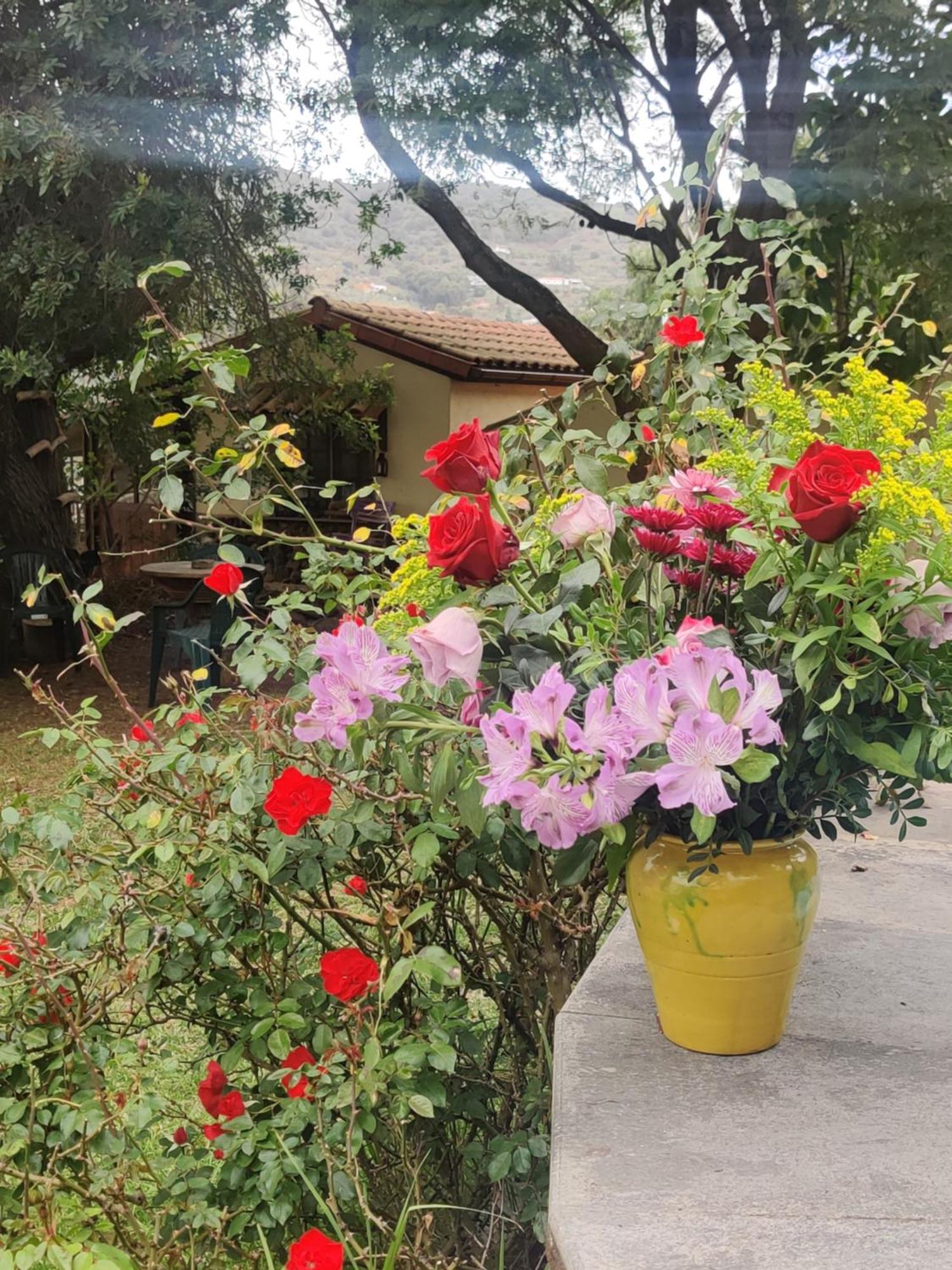 Estudio Wabi-Sabi Santa Brígida Dış mekan fotoğraf