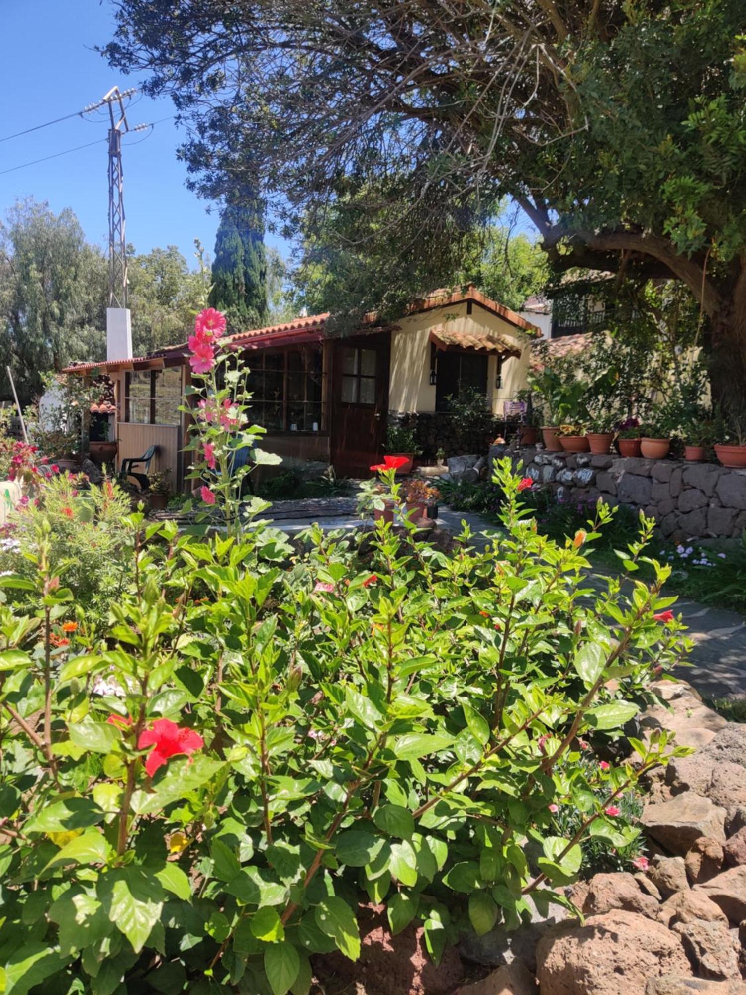 Estudio Wabi-Sabi Santa Brígida Dış mekan fotoğraf